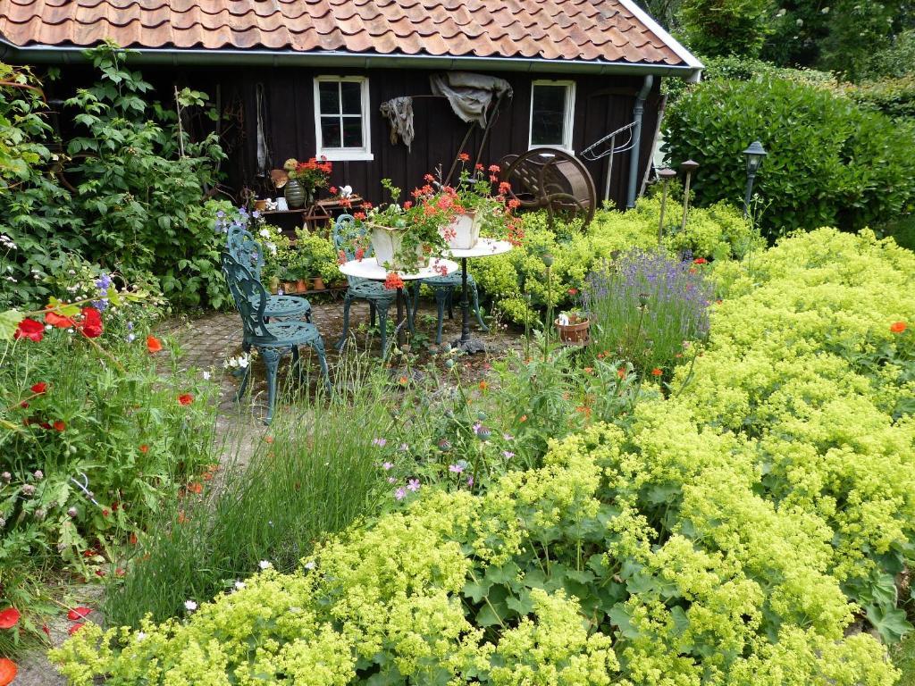 B&B En Appartementen Triente Buinen Exteriér fotografie